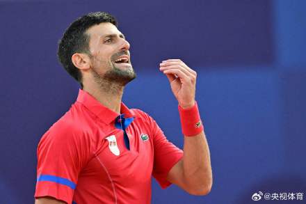 德甲赛场的 德甲赛场的