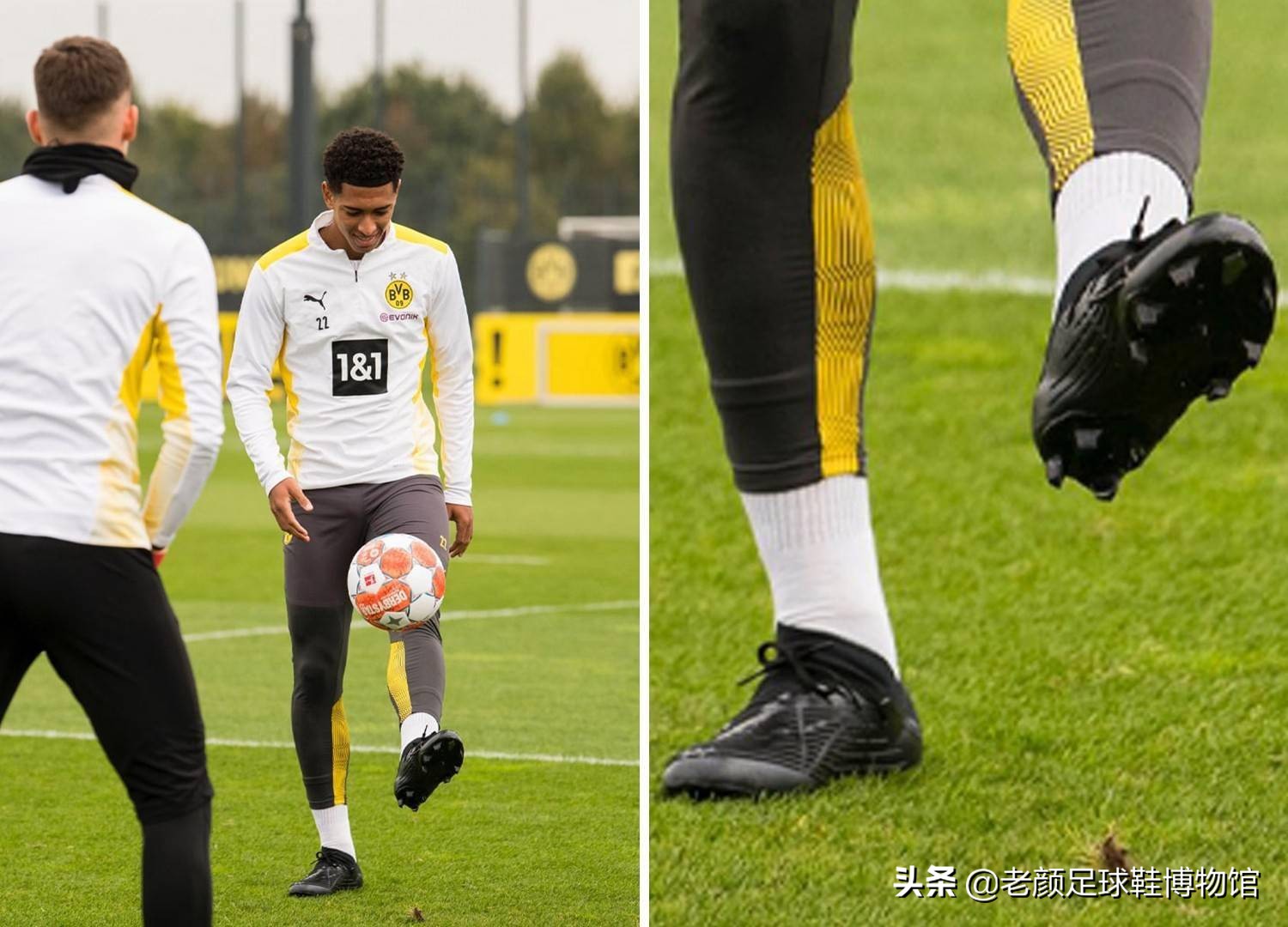 新玩家可把 新玩家可把